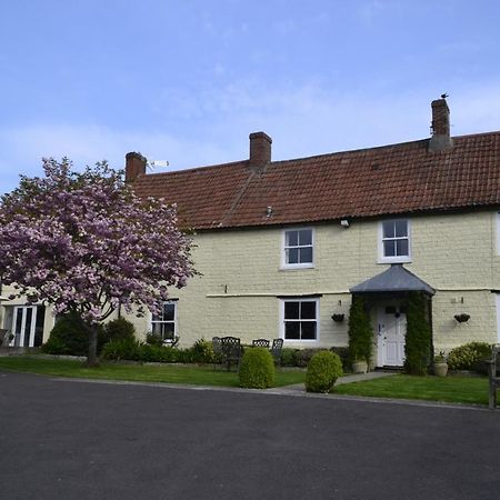 The Lawns Tea Room And B&B Ashcott Bagian luar foto
