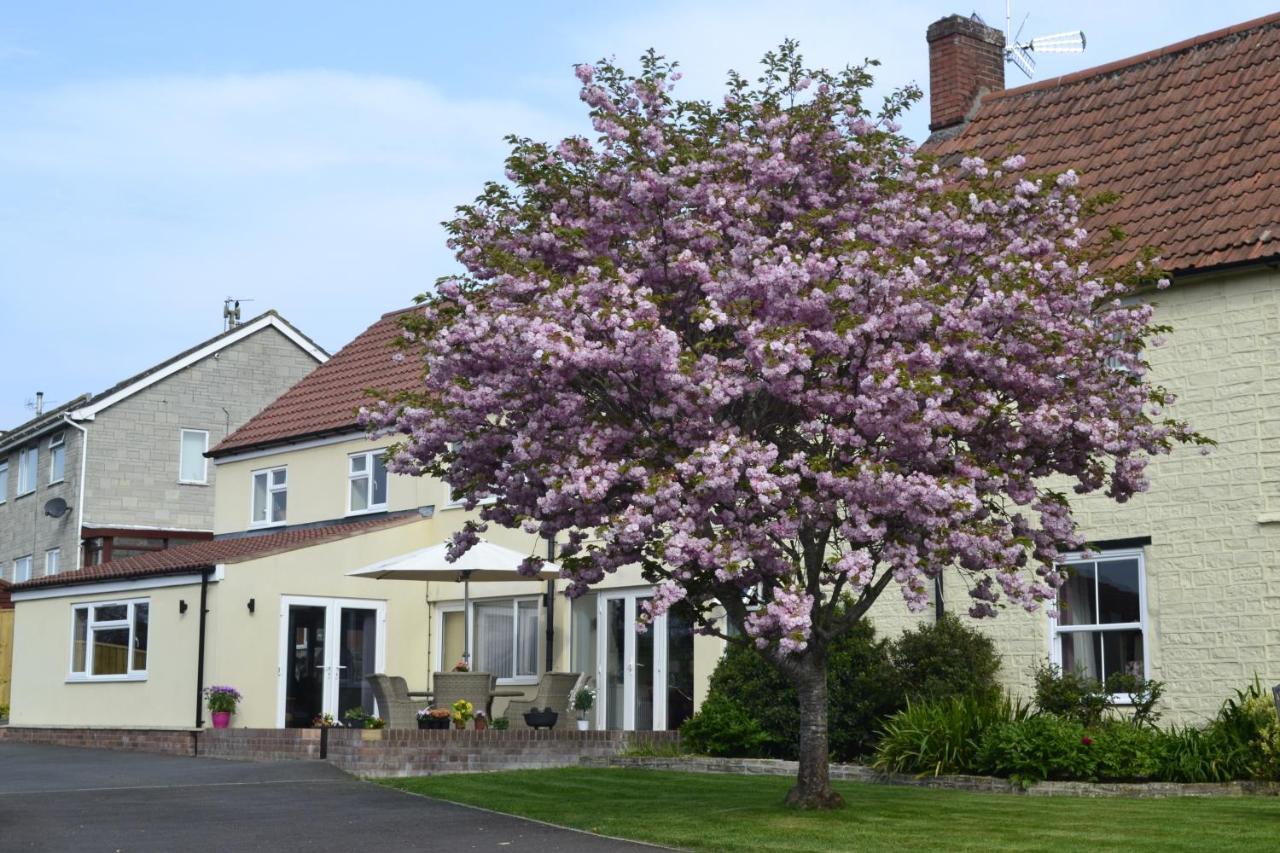 The Lawns Tea Room And B&B Ashcott Bagian luar foto