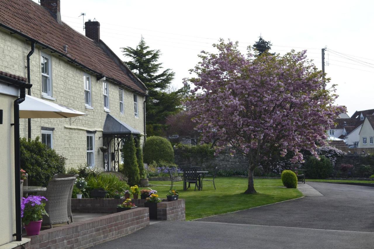 The Lawns Tea Room And B&B Ashcott Bagian luar foto