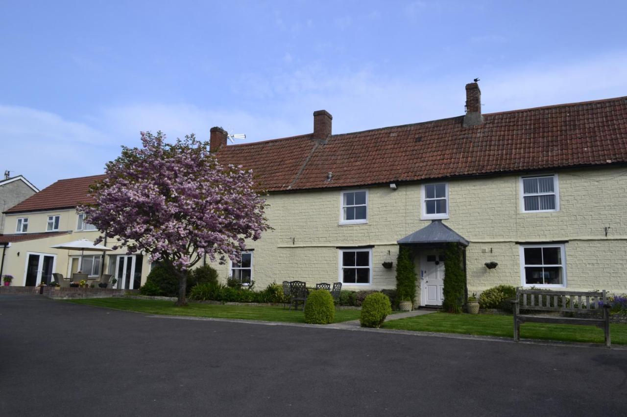 The Lawns Tea Room And B&B Ashcott Bagian luar foto