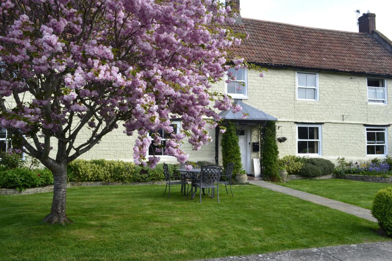The Lawns Tea Room And B&B Ashcott Bagian luar foto